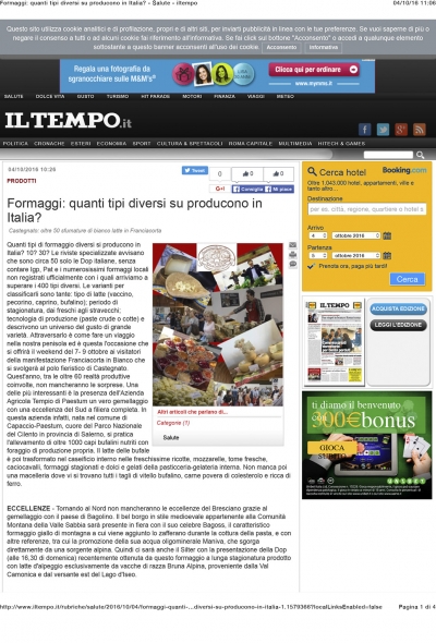 Formaggi: quanti tipi diversi si producono in Italia? - iltempo.it