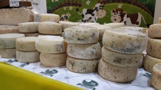 Franciacorta in Bianco: il formaggio raccontato ai giovani